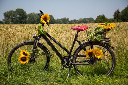 Hotel Restaurant Bürgerklause Tapken in Garrel